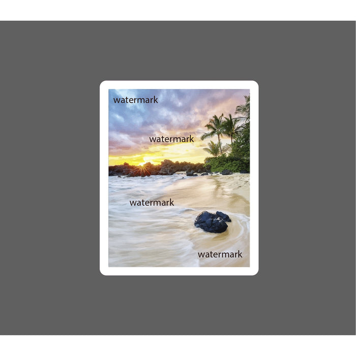 Ocean Walk Sticker Beach HD Tropical NEW