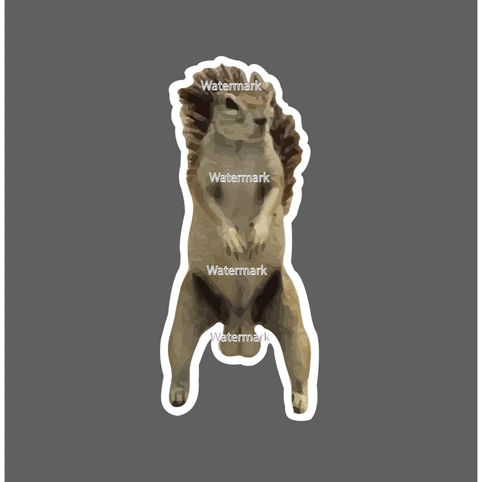 Squirrel Sticker Nuts Funny