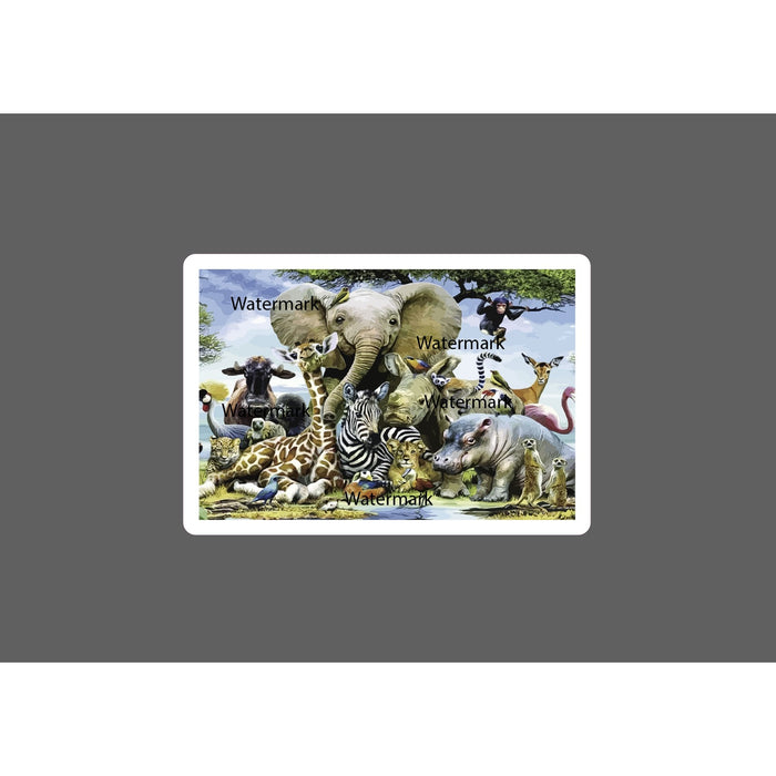 Animal Babies Sticker Portrait Wildlife
