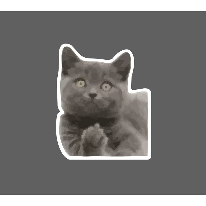 Cat Middle Finger Sticker