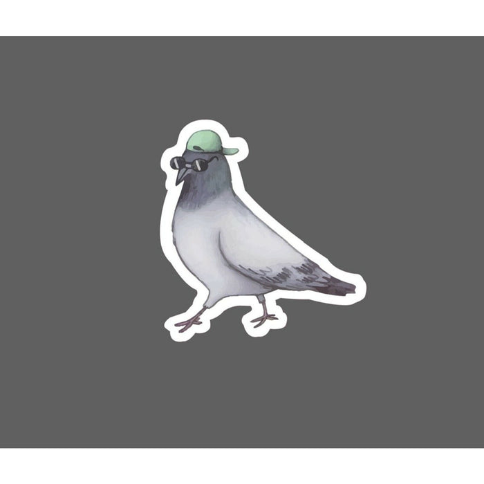 Pidgeon Sticker Sunglasses Hat