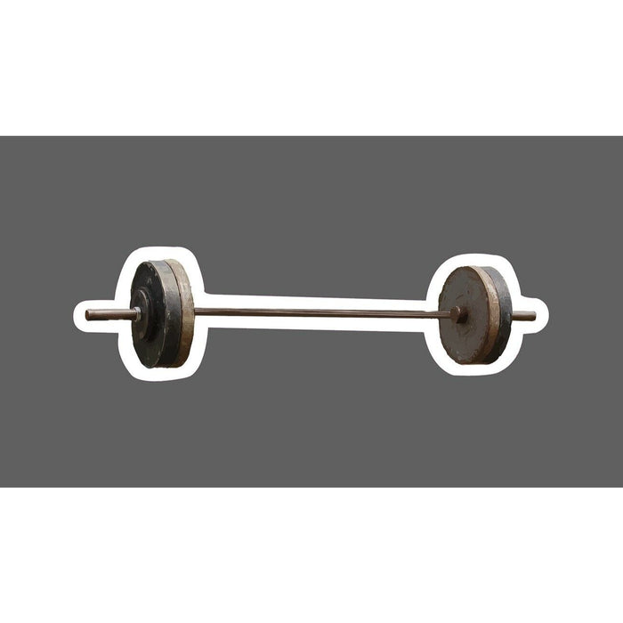 Barbell Sticker Deadlift Squat