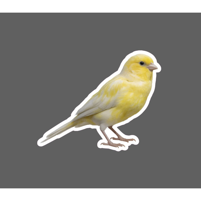 Canary Sticker Waterproof Decal Bird Pet Animal Outdoor Wildlife Gift NEW