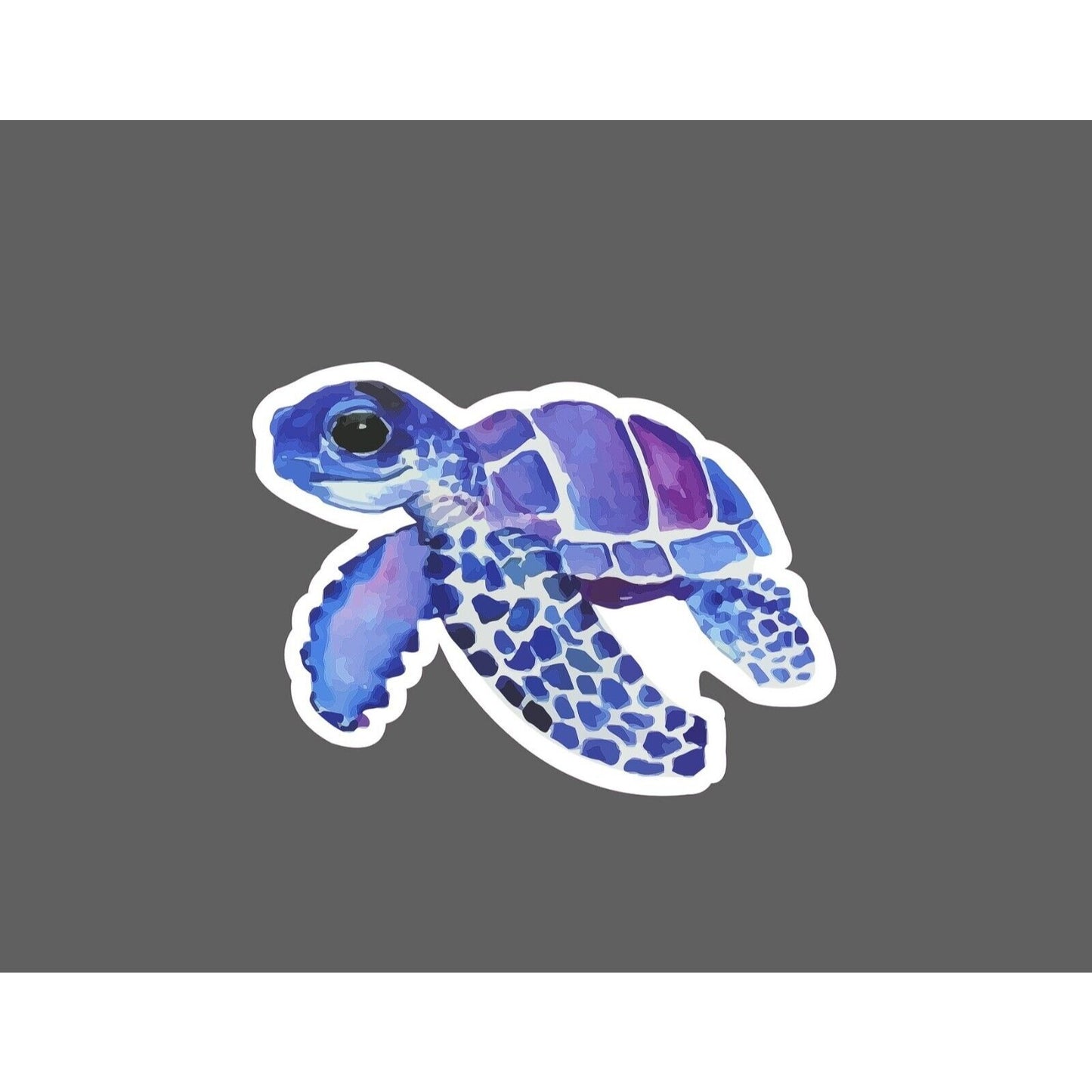 Baby Sea Turtle Sticker Ocean StickerDynasty