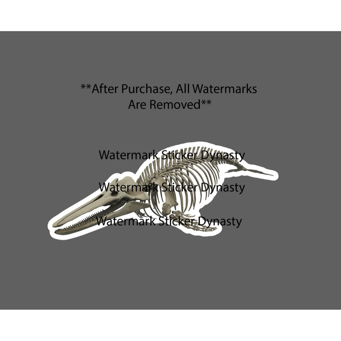 Whale Skeleton Sticker Waterproof Decal Bones Ocean Beach Wildlife Gift NEW