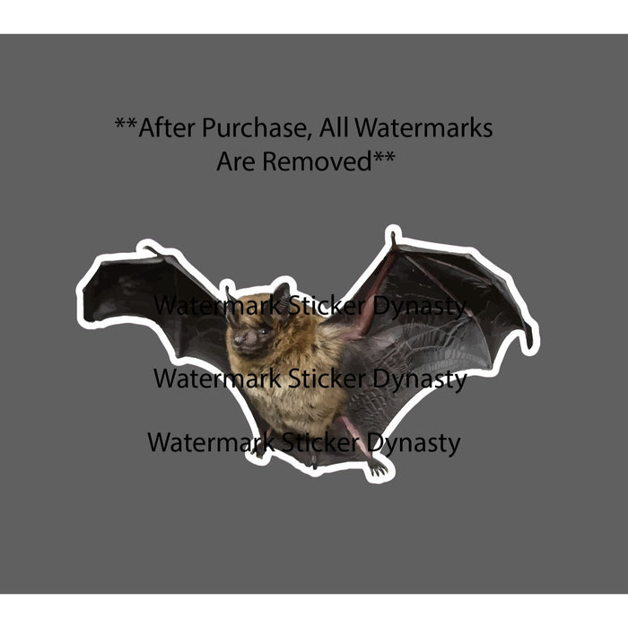 Bat Sticker Waterproof Decal Realistic Animal Wild Wildlife Nature Gift NEW