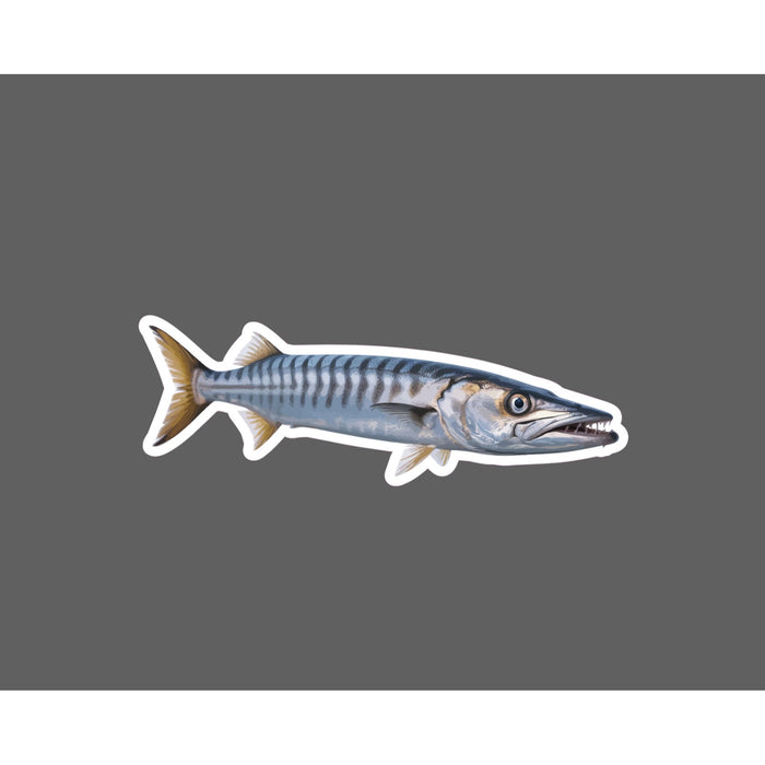 Barracuda Sticker Fish Animal Ocean Outdoor Wildlife Salt Gift Waterproof NEW
