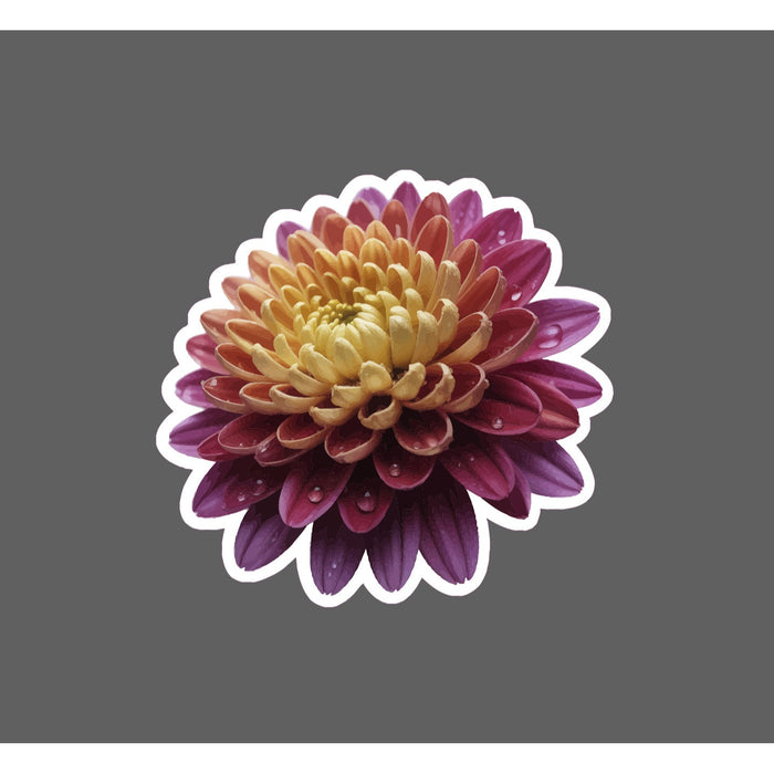 Chrysanthemum Sticker Waterproof Decal Flower Floral Nature Gift NEW