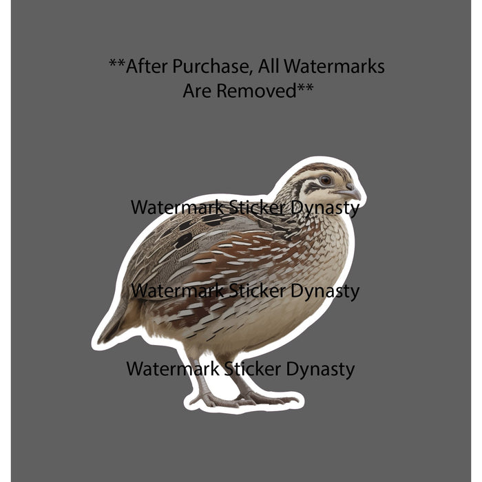 Quail Sticker Waterproof Decal Bird Animal Farm Farmhouse Eggs Gift NEW