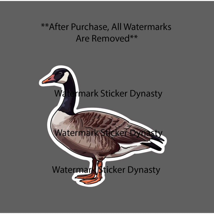 Canada Goose Sticker Waterproof Decal Bird Animal Outdoor Wildlife Gift NEW