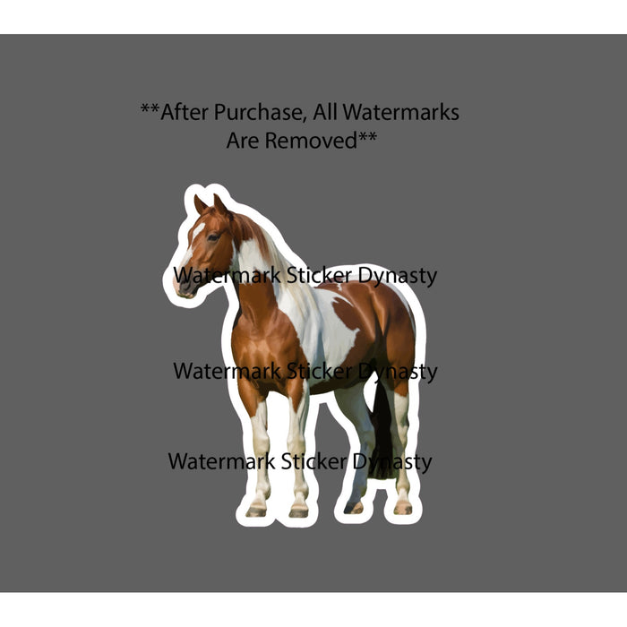 American Paint Horse Sticker Waterproof Decal Farm Countryside Gift NEW