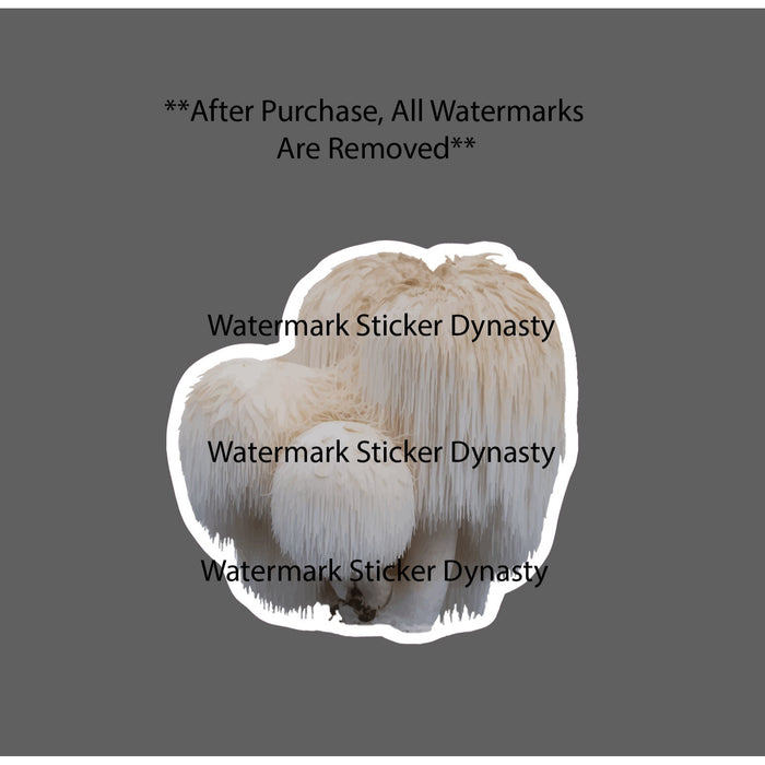 Lions Mane Mushroom Sticker Waterproof Decal Fungi Superfood Plant Gift NEW