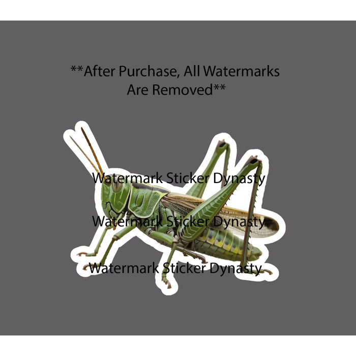 Grasshopper Sticker Waterproof Decal Insect Animal Outdoor Wild Insect Gift NEW