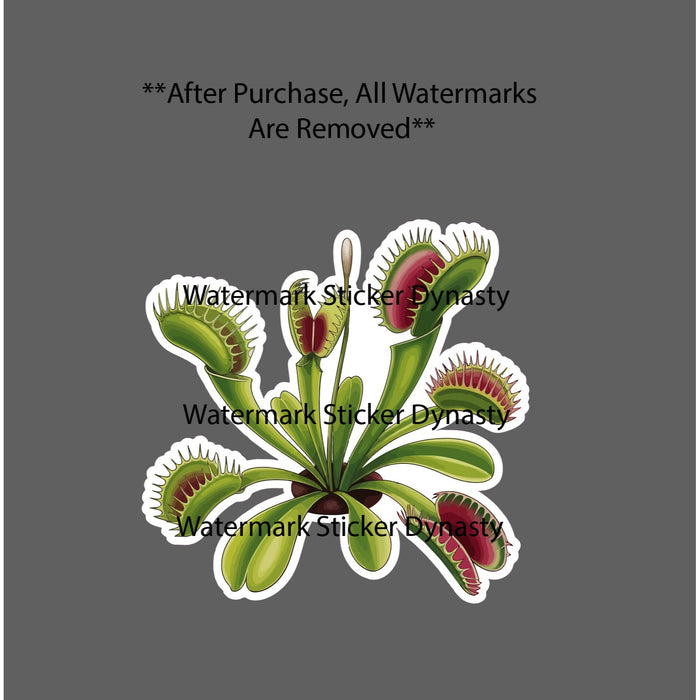 Venus Fly Trap Sticker Waterproof Decal Plant Insect House Gift NEW