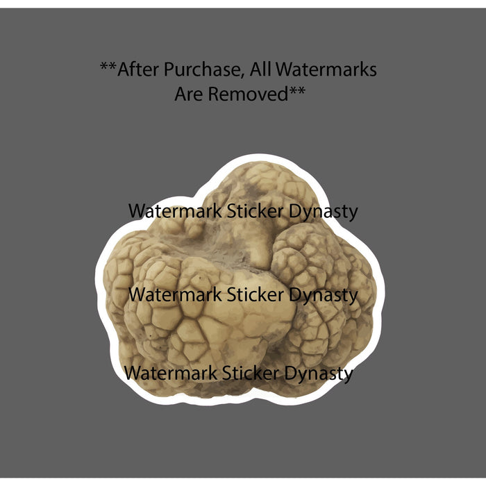 White Truffle Sticker Waterproof Decal Food Culinary Meal Gift NEW