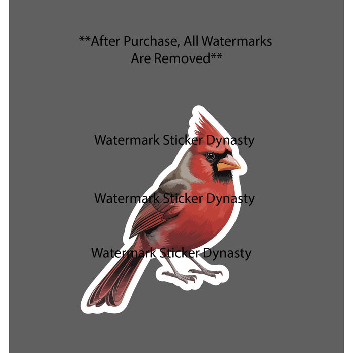 Cardinal Sticker Waterproof Decal Bird Animal Outdoor Wildlife Nature Gift NEW