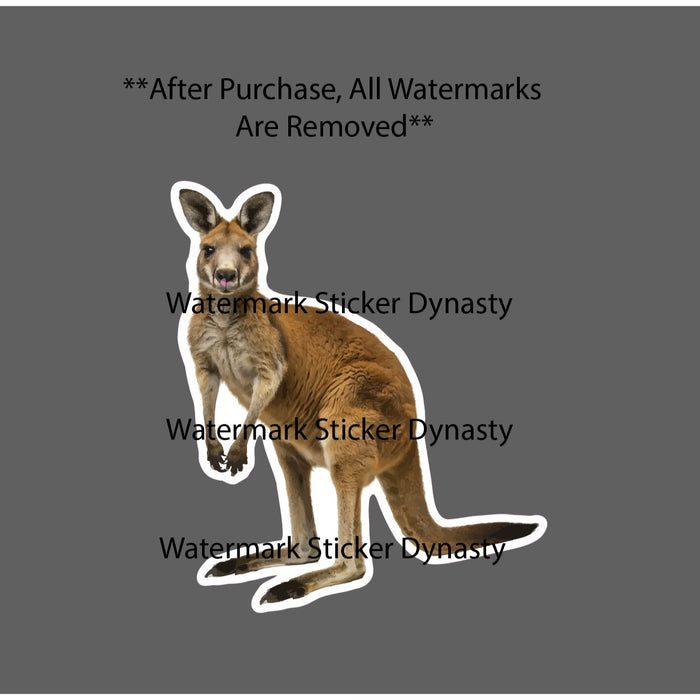 Baby Kangaroo Sticker Waterproof Decal Joey Animal Wildlife Nature Gift NEW