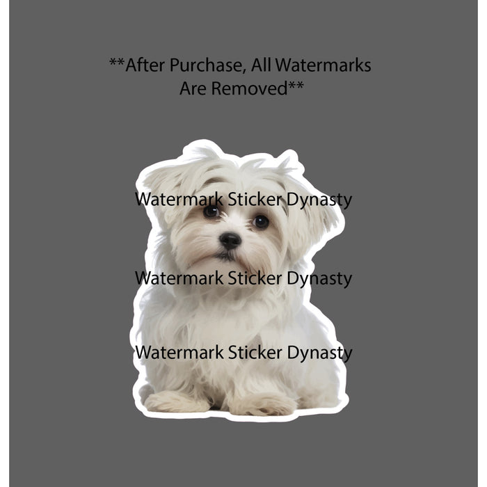 Maltese Sticker Waterproof Decal Dog Pet Animal Puppy Friend Family Gift NEW