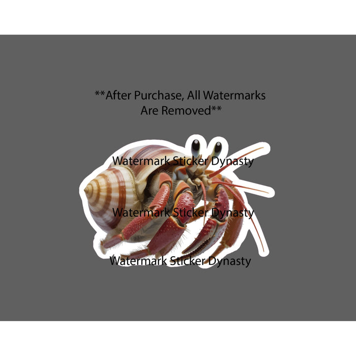 Hermit Crab Sticker Waterproof Decal Animal Ocean Beach Wildlife Pet Gift NEW