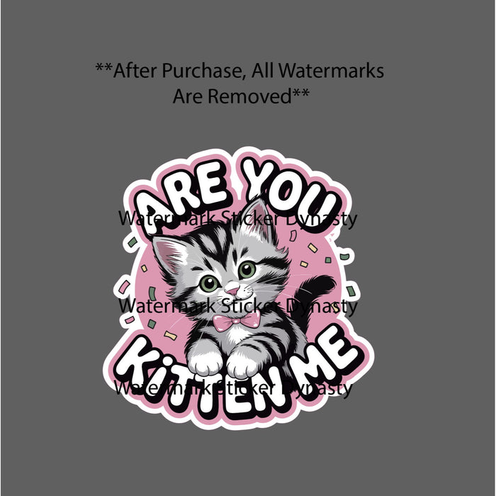 Are You Kitten Me Sticker Waterproof Decal Cat Animal Pet Cute Family Gift NEW