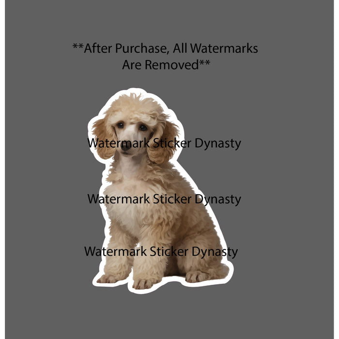 Poodle Sticker Waterproof Decal Dog Animal Pet Family Friend Gift NEW