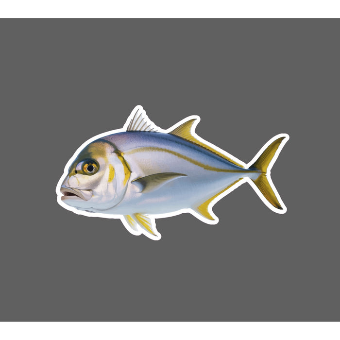 Amberjack Sticker Fish Outdoor Ocean Beach Wildlife Nature Gift Waterproof NEW