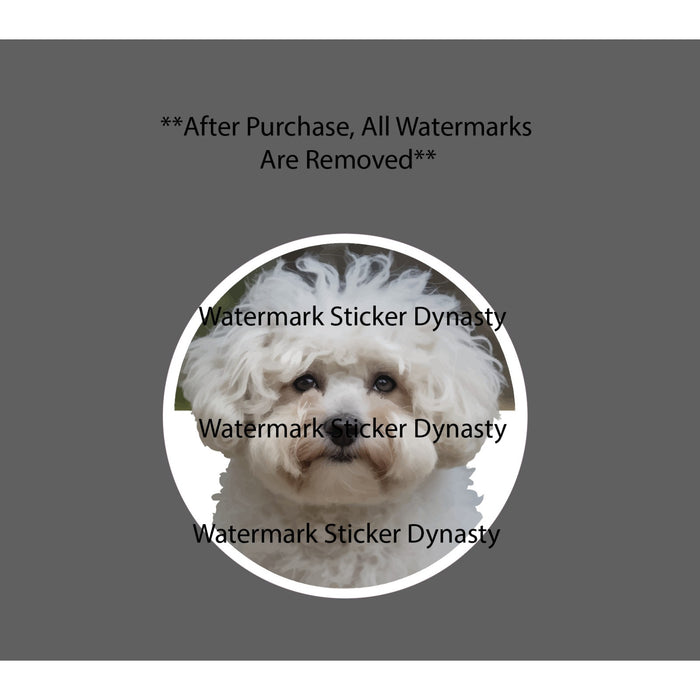 Bichon Frise Sticker Waterproof Decal Dog Animal Pet Show Family Friend Gift NEW