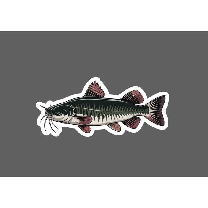 Channel Catfish Sticker Animal Fish Outdoor Wildlife Gift Waterproof NEW