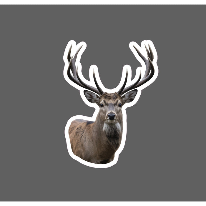 Buck Sticker Waterproof Decal Deer Realistic Animal Hunting Outdoor Gift NEW