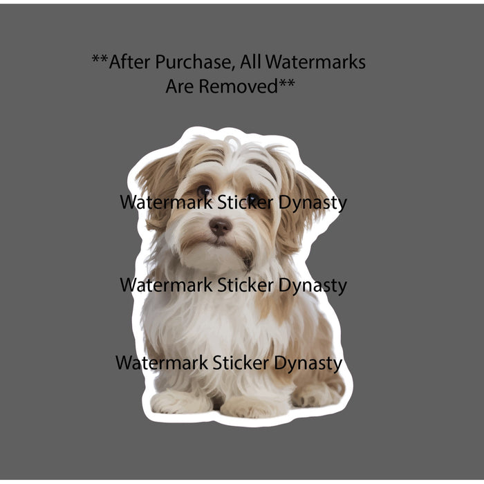 Havanese Sticker Waterproof Decal Dog Animal Pet Friend Family Gift NEW