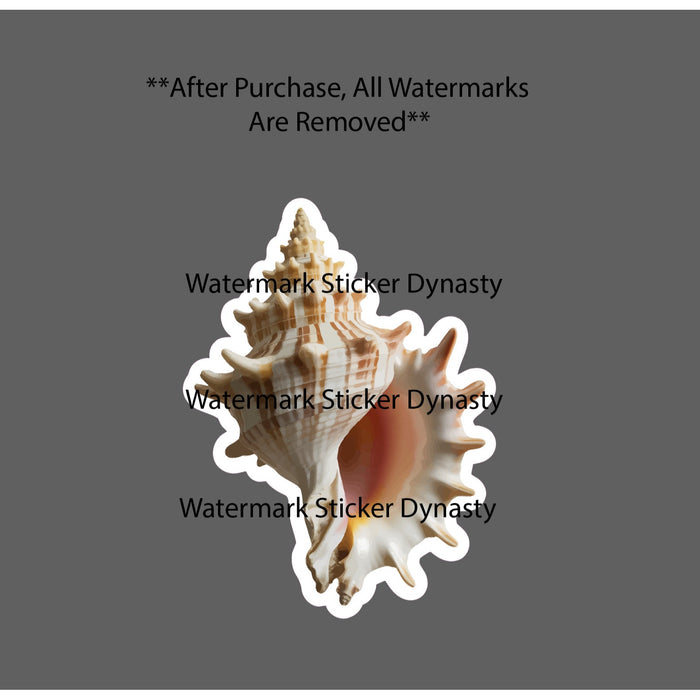 Conch Shell Sticker Waterproof Decal Ocean Beach Tropical Island Gift NEW