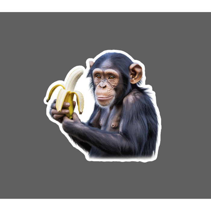Chimpanzee Sticker Waterproof Decal Monkey Animal Banana Zoo Wild Gift NEW