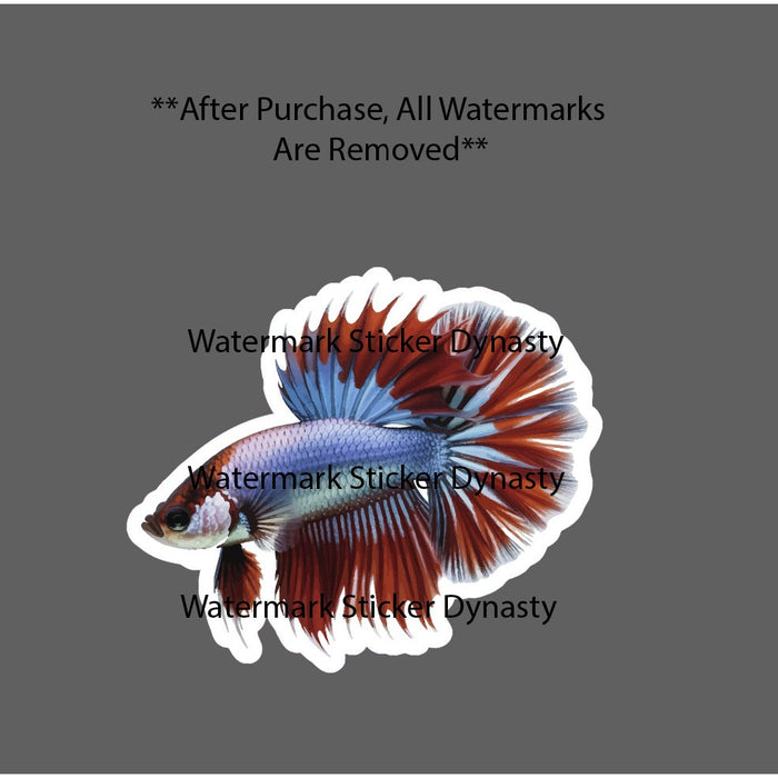 Betta Fish Sticker Animal Pet Colorful Gift Waterproof NEW