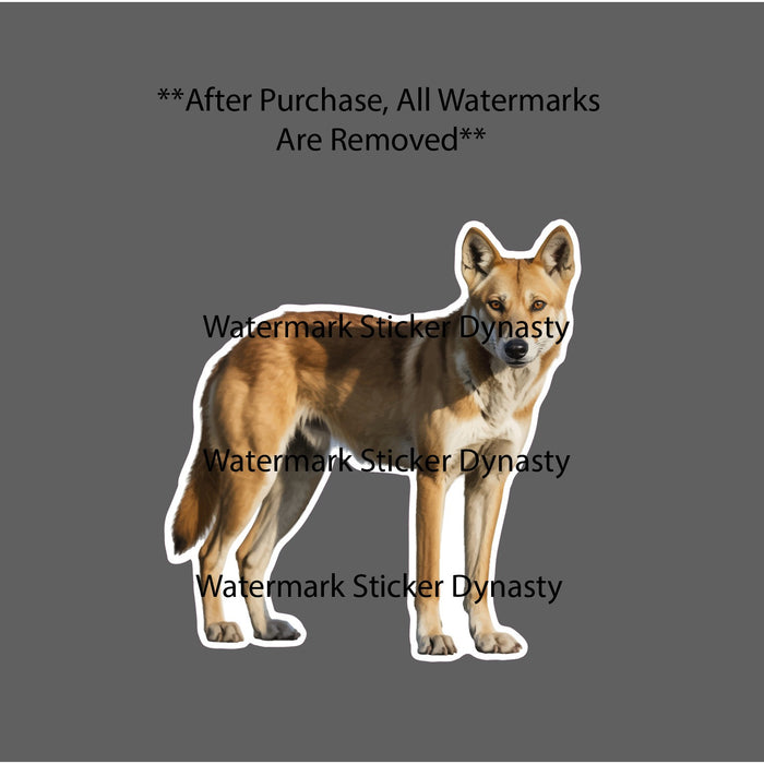 Dingo Sticker Waterproof Decal Wild Dog Australia Animal Outback Gift NEW