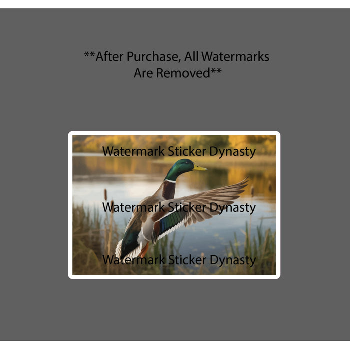 Mallard Duck Sticker Waterproof Decal Flying Nature Scene Pond Wildlife Gift NEW