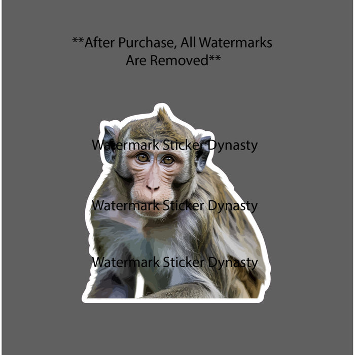 Macaque Monkey Sticker Waterproof Decal Animal Wildlife Outdoor Gift NEW