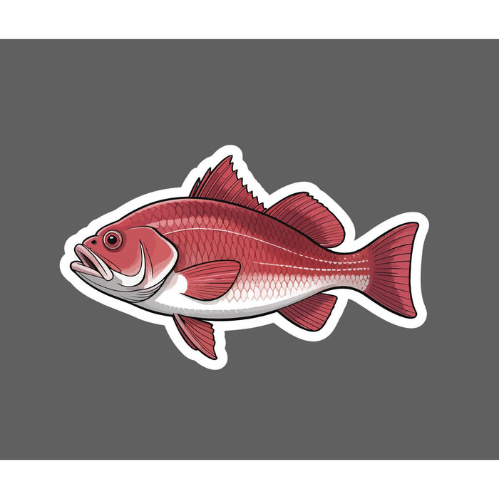 Red Drum Sticker Fish Outdoor Ocean Wildlife Nature Gift Waterproof NEW
