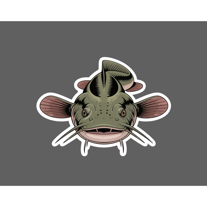 Flathead Catfish Sticker Animal Fish Outdoor Wildlife Nature Gift Waterproof NEW