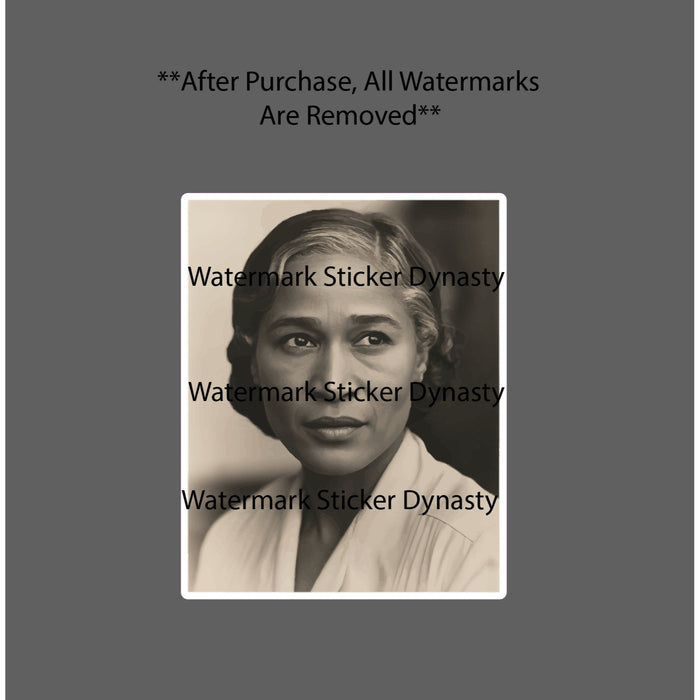 Rosa Parks Sticker Waterproof Decal Social Justice American History Gift NEW