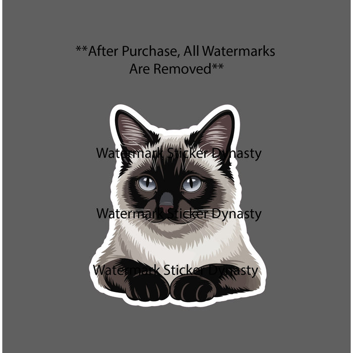 Siamese Cat Sticker Waterproof Decal Animal Pet Friend Family Adopt Gift NEW