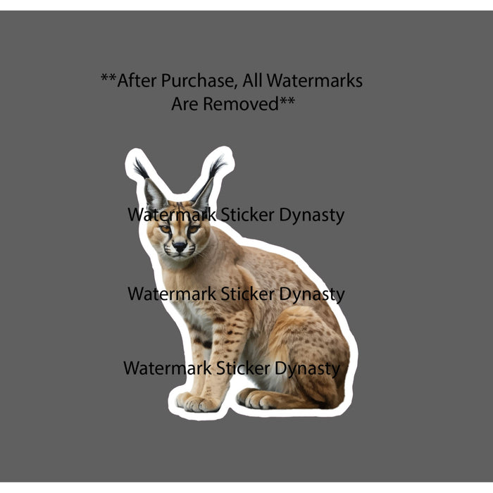 Caracal Cat Sticker Waterproof Decal Animal Outdoor Wild Cat Pet Gift NEW