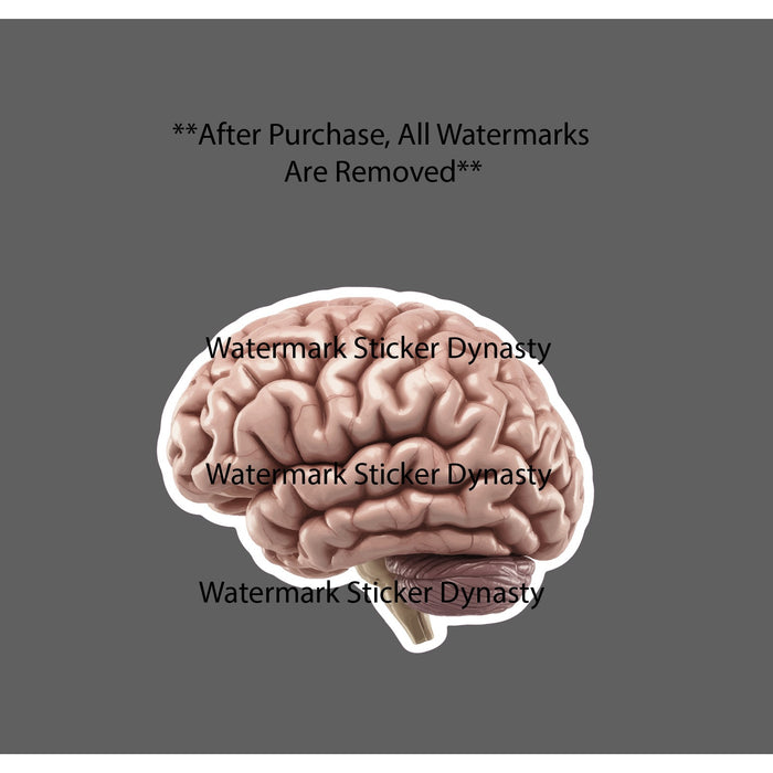 Realistic Brain Sticker Waterproof Decal Anatomy Horror Smart Gift NEW