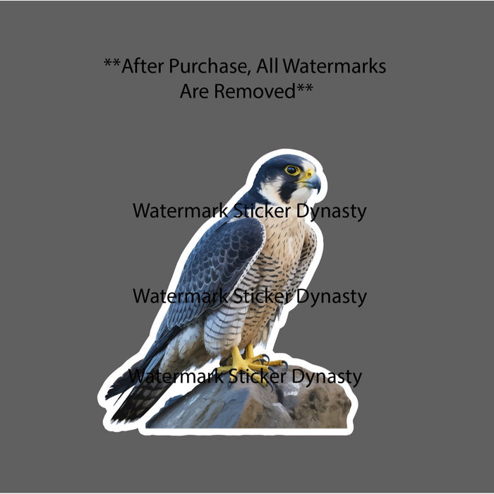 Peregrine Falcon Sticker Waterproof Decal Animal Wildlife Bird Predator Gift NEW