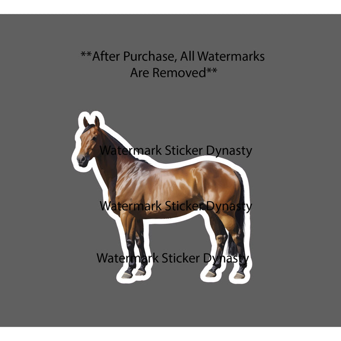 American Quarter Horse Sticker Waterproof Decal Horse Racing Animal Gift NEW