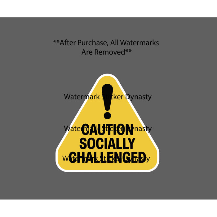 Socially Challenged Sticker Waterproof Decal Quote Warning Funny Humor Gift NEW