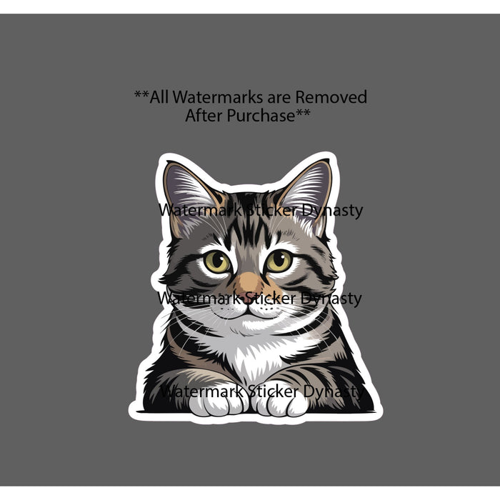 Domestic Shorthair Cat Sticker Waterproof Decal Feline Family Friend Gift NEW