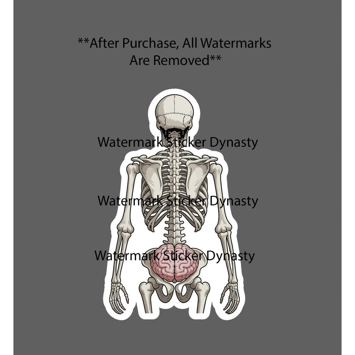 Head As* Sticker Waterproof Decal Skeleton Brain Funny Humor Meme Gift NEW