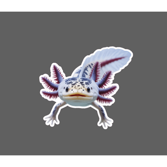 Axolotl Sticker Pet Animal Friend Wildlife Nature Gift Waterproof NEW