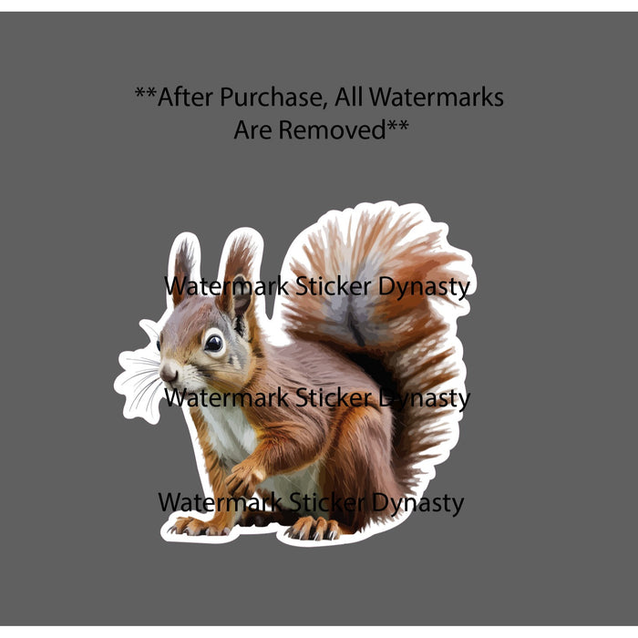Red Squirrel Sticker Waterproof Decal Animal Nature Outdoor Wildlife Gift NEW