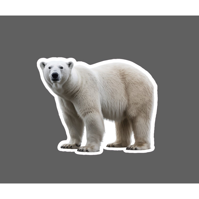 Polar Bear Sticker Animal Outdoor Wildlife Nature Gift Artic Waterproof NEW
